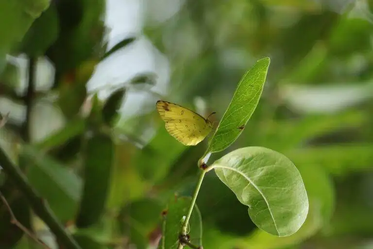 Analyzing the Role of Voter Accessibility Measures in Election Equity