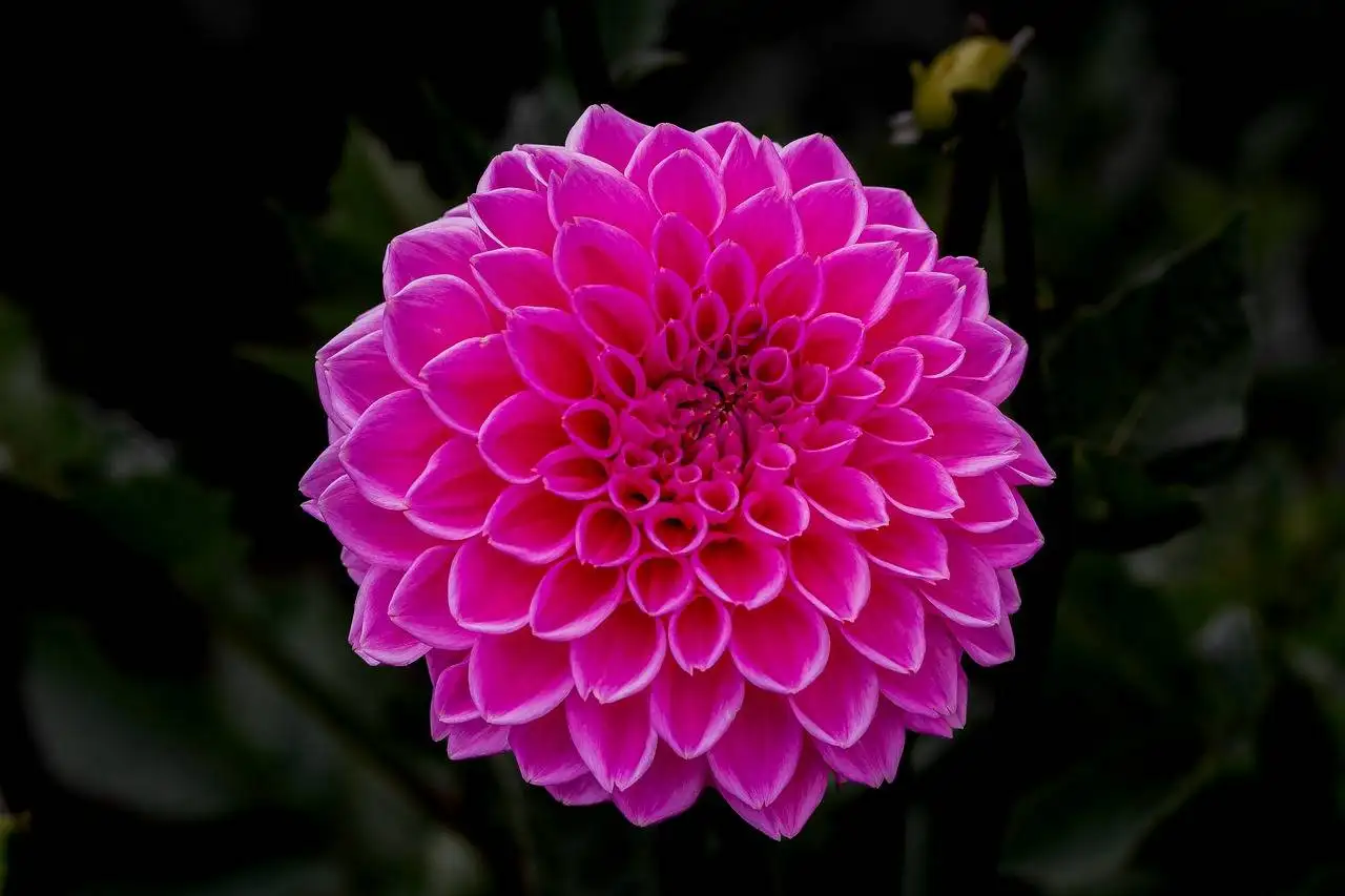 The Evolution of Sustainable Packaging Solutions in Retail