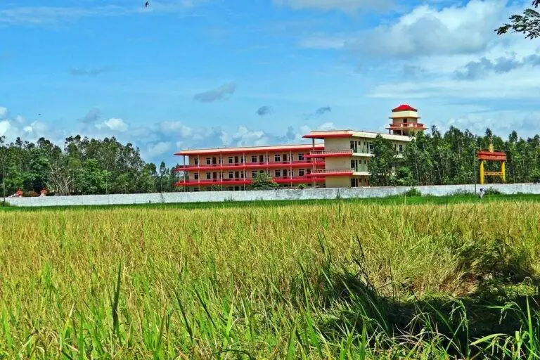 The Role of Swing States in Presidential Election Outcomes