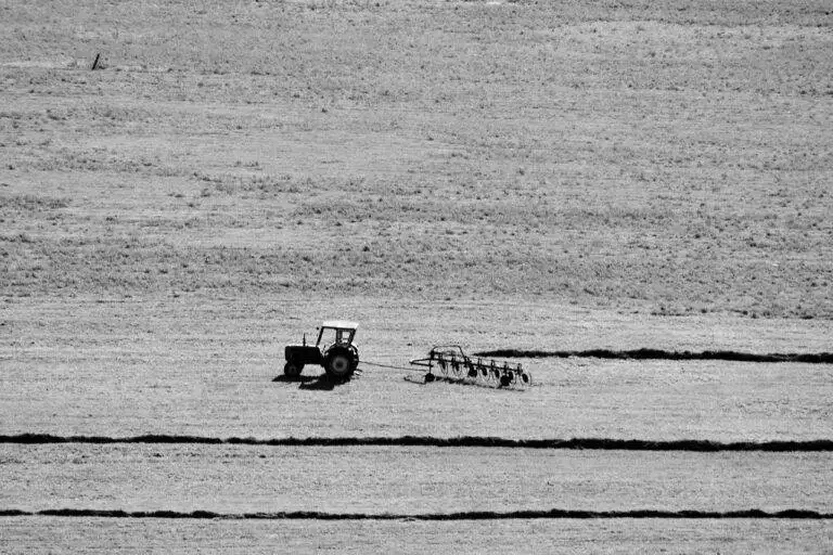 The Potential of Quantum Computing in Financial Risk Assessment