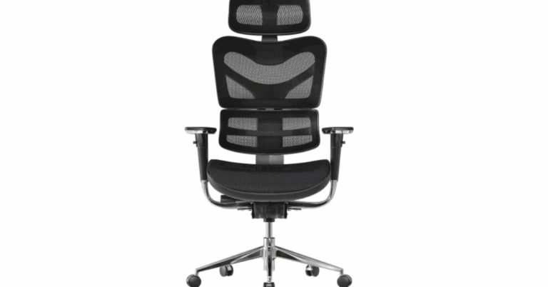 Hinomi X1 vs NextChair Luxe 2.0: Singapore’s Best Ergonomic Chairs Compared