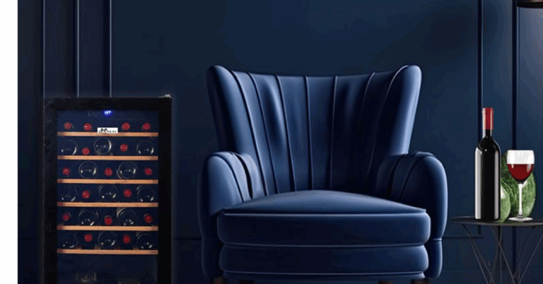 Best Wine Fridge: Elevating Your Wine Experience in Style and Precision